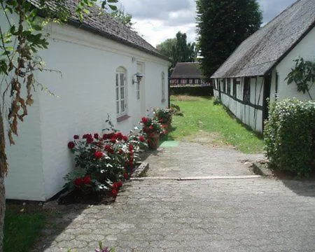 Bed & Breakfast Davinde 3*