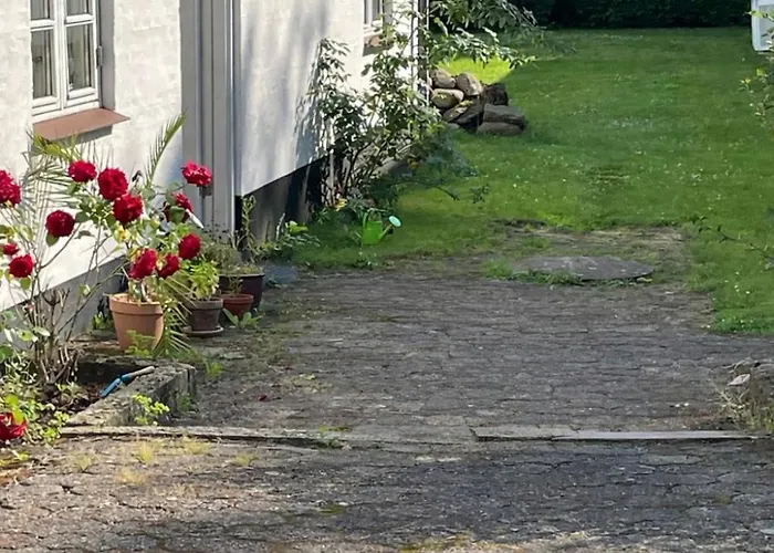 住宿加早餐酒店 Davinde 欧登塞