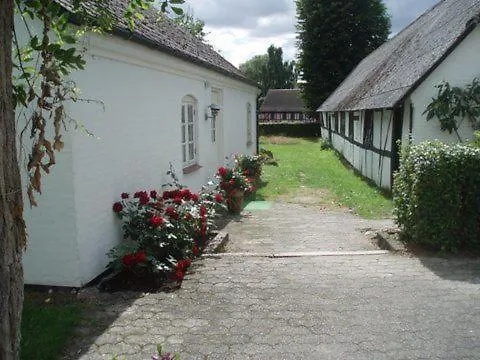 Bed and Breakfast Davinde 3*