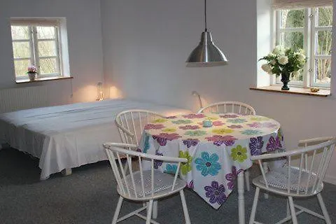 Davinde 住宿加早餐酒店 欧登塞